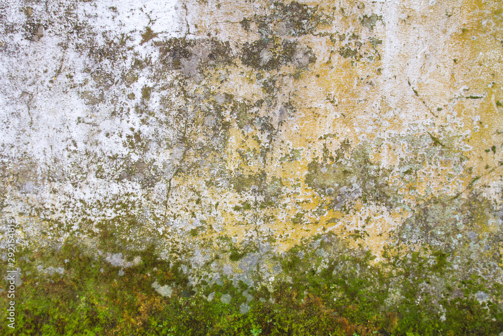 Fototapeta premium Old wall background or texture