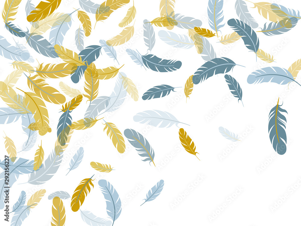 Detailed majestic feather on white design. Detailed majestic feather on white design.