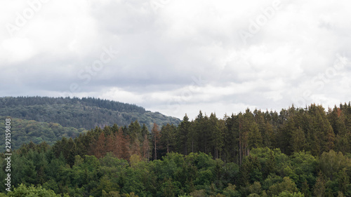 panorama of mountains with trees and clouds