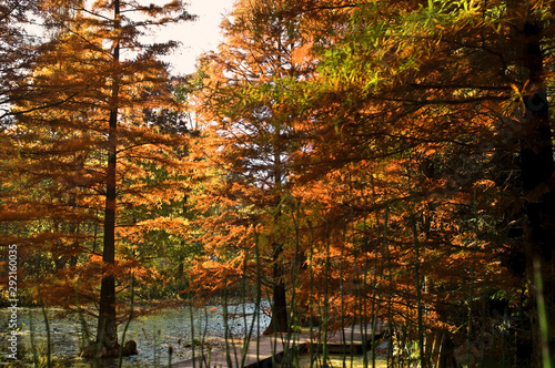 Herbst