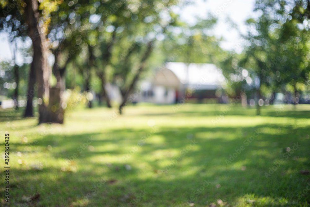 defocused bokeh background of garden trees in sunny day