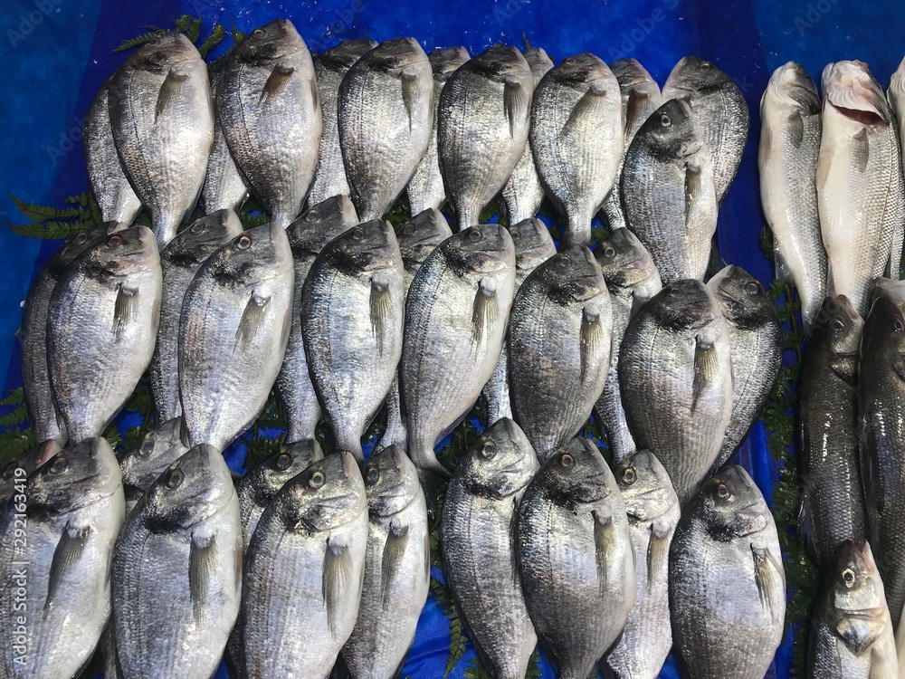 Obraz premium Fresh sea fish on display at a fish market
