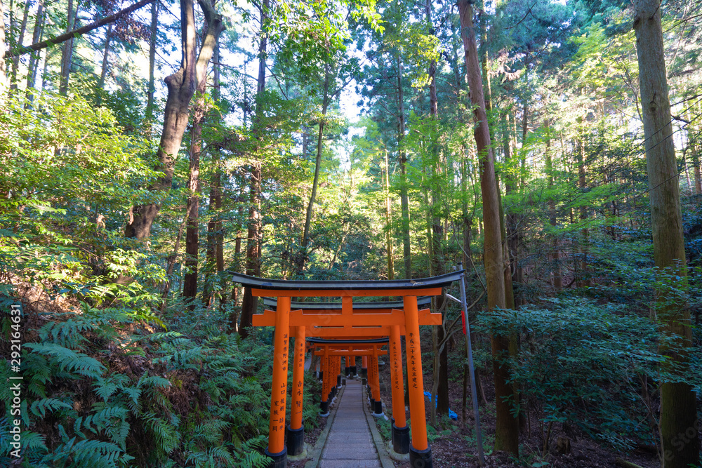 Kyoto Travel : Landscape of Fushimi-Inari Taisha Kyoto Travel : Landscape of Fushimi-Inari Taisha