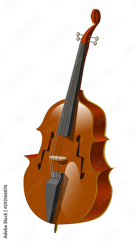 acoustic plucked musical instrument - double bass acoustic plucked musical instrument - double bass