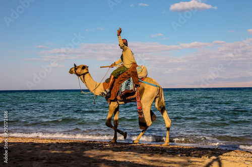 man riding a camel on the beach
