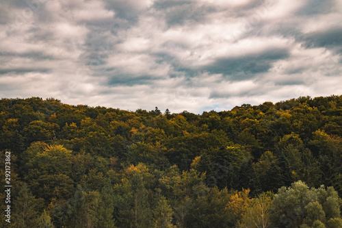 autumn colors top of trees foliage dramatic moody landscape photography on gray cloudy sky background, idyllic seasonal background scenic view, copy space 