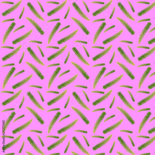  Seamless pattern of fern leaves. Tropical fern leaves on a pink background.
