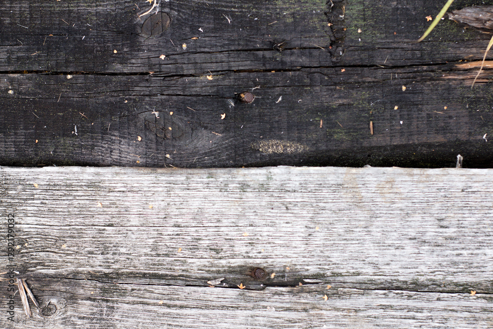 Naklejka premium Old wooden background. Abstract wood texture background.