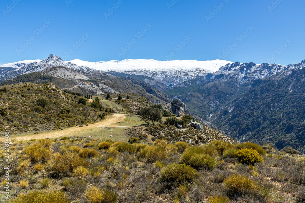 Fototapeta premium The snowy mountains of Sierra Nevada, Spain