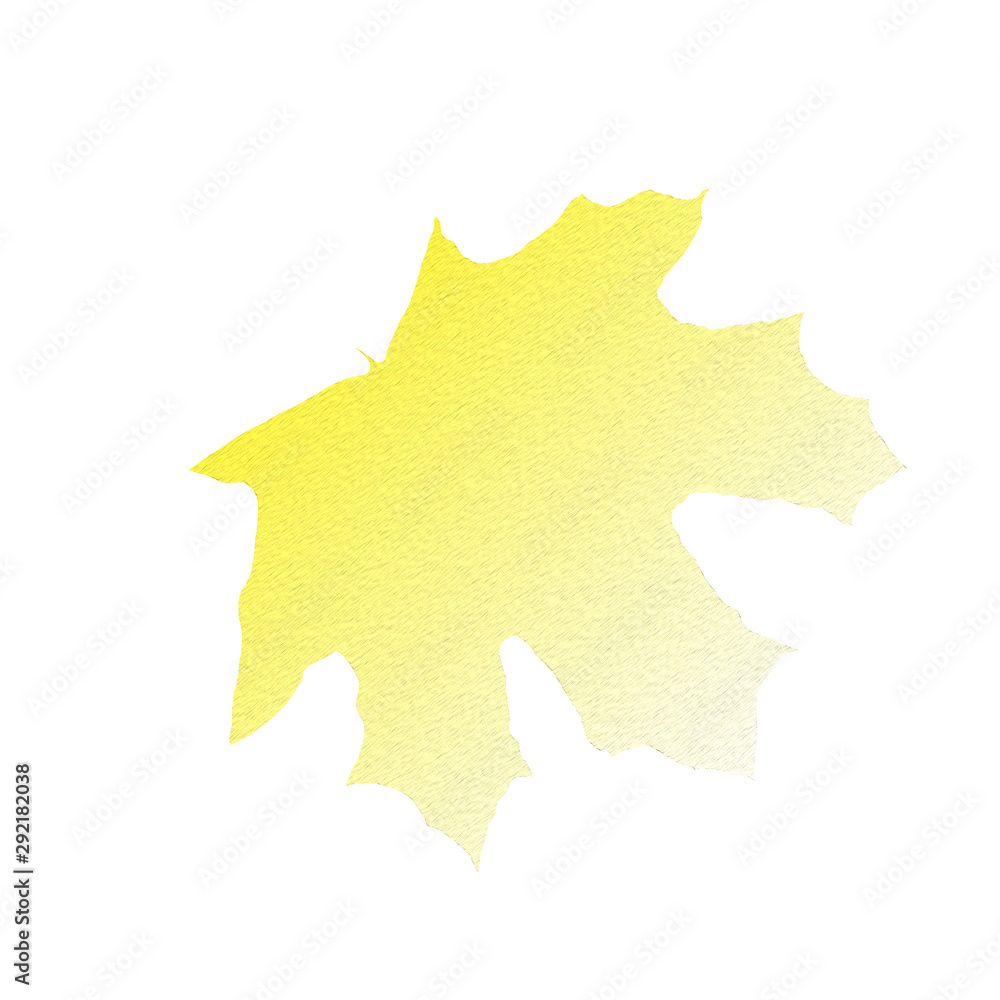 Contour image of a maple leaf, isolated on a white background. Contour image of a maple leaf, isolated on a white background.