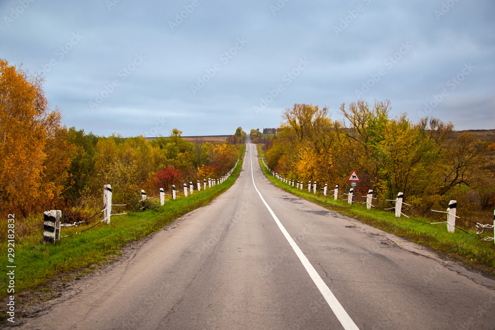 Village road through the forest and autumn trees with dark blue sky. Beautiful autumn natural landscape. Village road through the forest and autumn trees with dark blue sky. Beautiful autumn natural landscape.