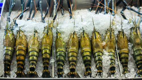 Large river prawns frozen in ice