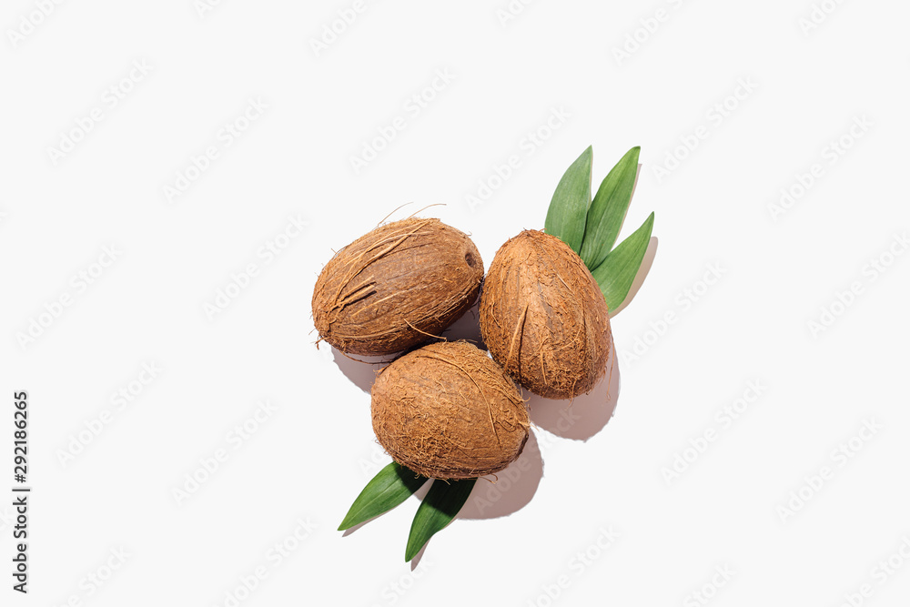 Ripe brown coconuts with green leaves Ripe brown coconuts with green leaves