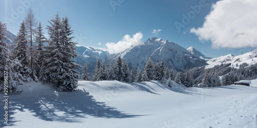 Winterpanorama mit Skihütte am Waldrand © by paul