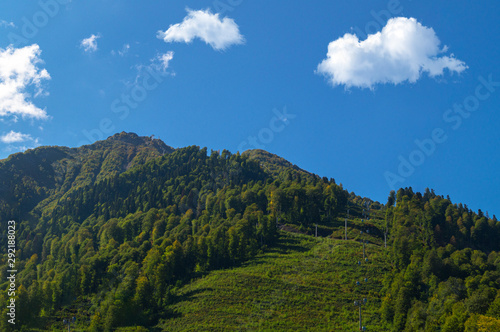 Summer in the mountains