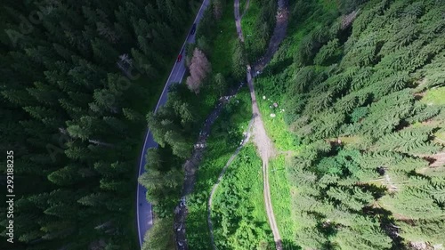 Drone following cars driving through the Lower Tatras region, Roadtrip concept. photo