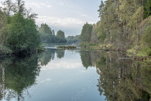 The Tsna river flows slowly through the forest Tver region Russia