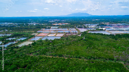 Aerial view of mangrove forest in Rayong province  Thailand.Aerial view of Thung Prong Thong  Rayong  Thailand