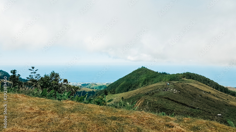 Fototapeta premium Pastures out of sight in Sao Miguel Island, Azores, Portugal