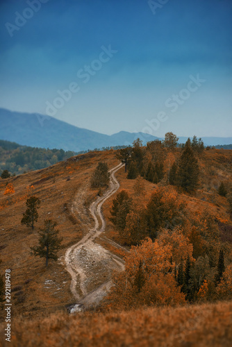 Amazing view of the road in...