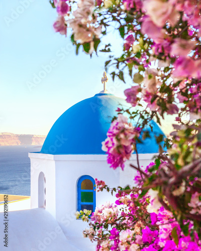 Oia, traditional greek village of Santorini with blue dome of churches with purple flowers, Greece.