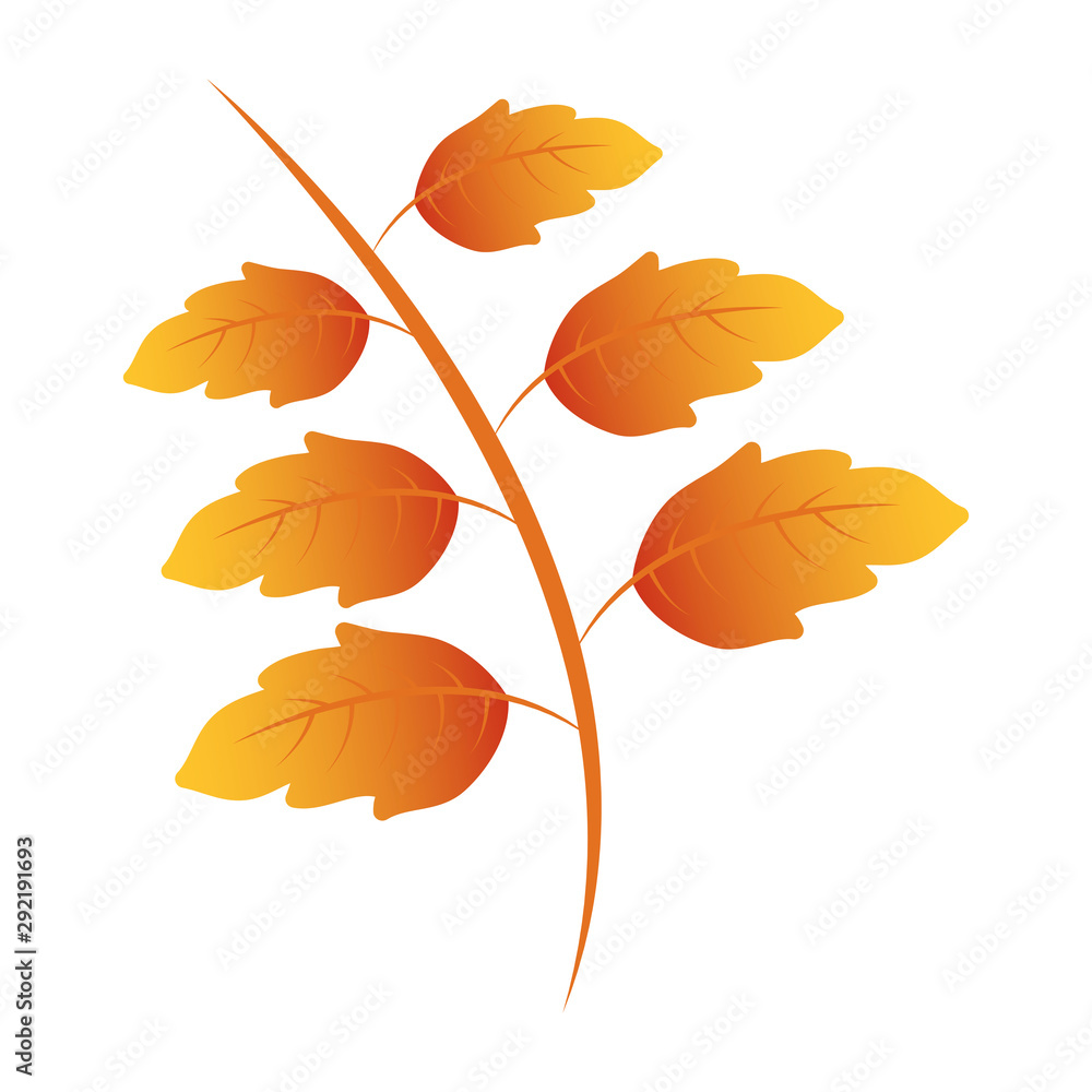 autumn branch with leaf foliage seasonal autumn branch with leaf foliage seasonal