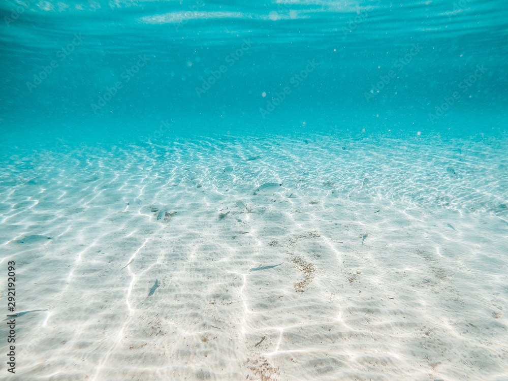 Underwater background with fish and beautiful textures of sand and water of mediterranean sea Underwater background with fish and beautiful textures of sand and water of mediterranean sea