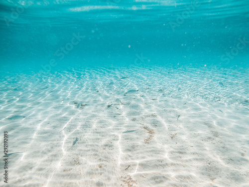 Underwater background with fish and beautiful textures of sand and water of mediterranean sea