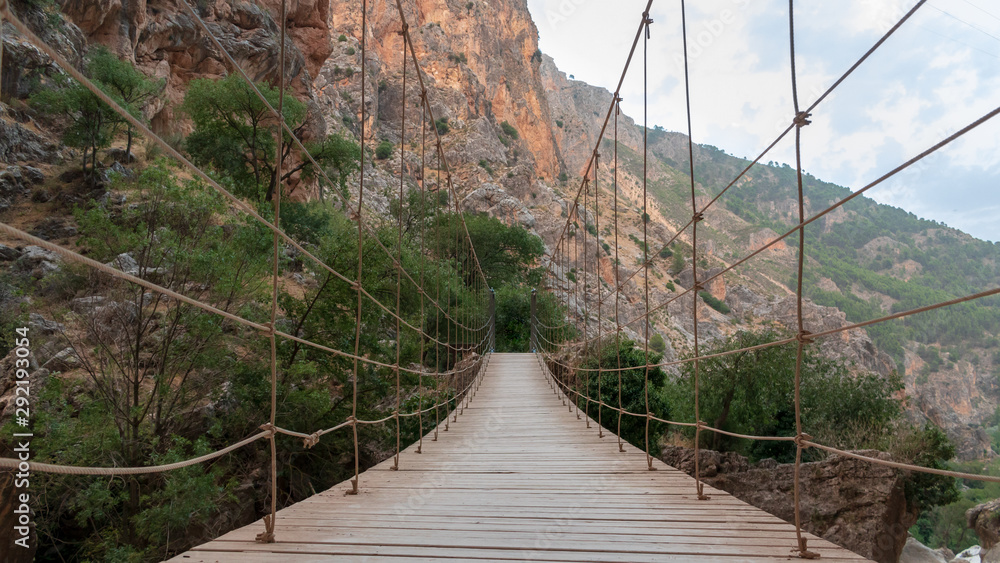 Obraz premium bridge in the forest. Moclín, Spain.