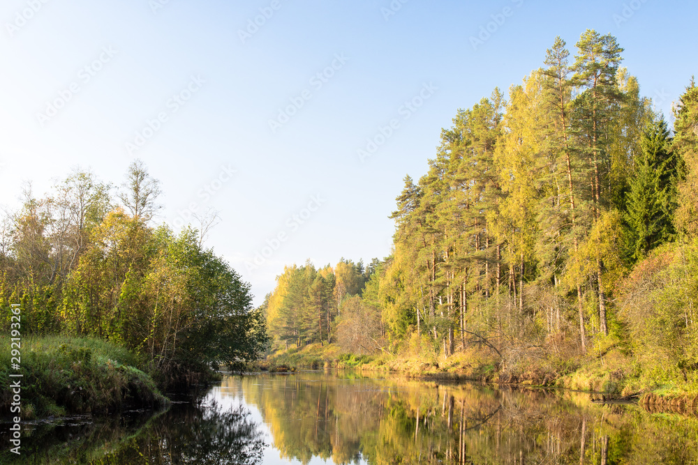Tsna river flows through forest, at the turn of  the island, Tver region