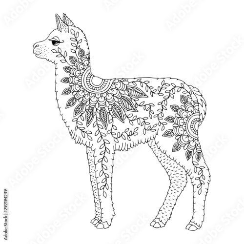 Hand drawn llama for adult coloring page. Vector illustration. May be used for print on t-shirt, wallpaper or poster.