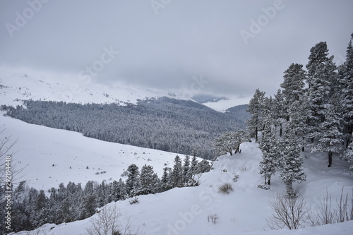 Snowy Winter In The Mountains