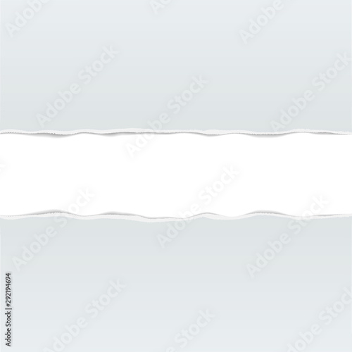 torn blank piece or page of paper vector illustration © Christian Horz