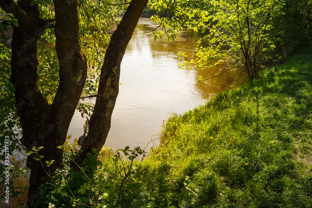 Naklejka premium Landscape with trees over the river on a sunny day