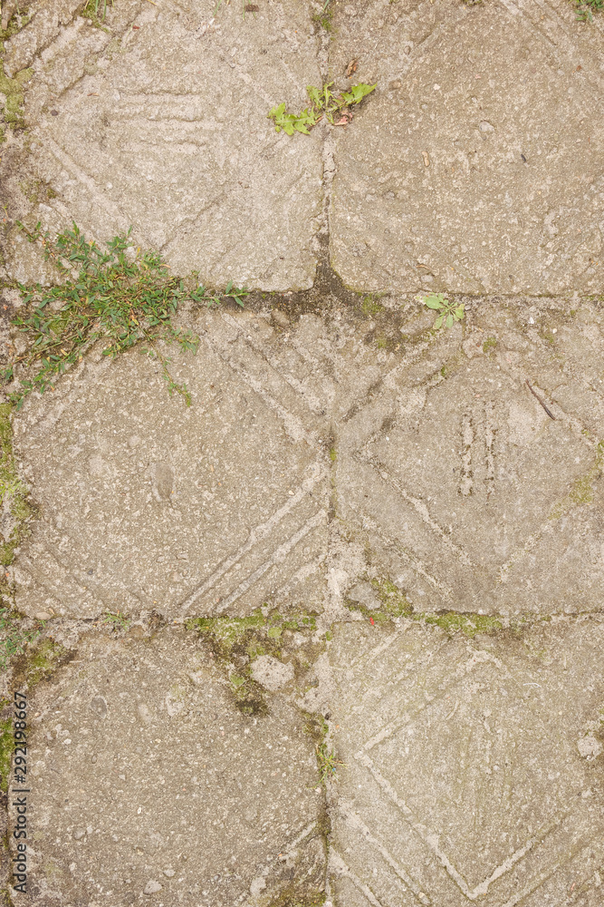 Naklejka premium Old sidewalk slabs and grass between them