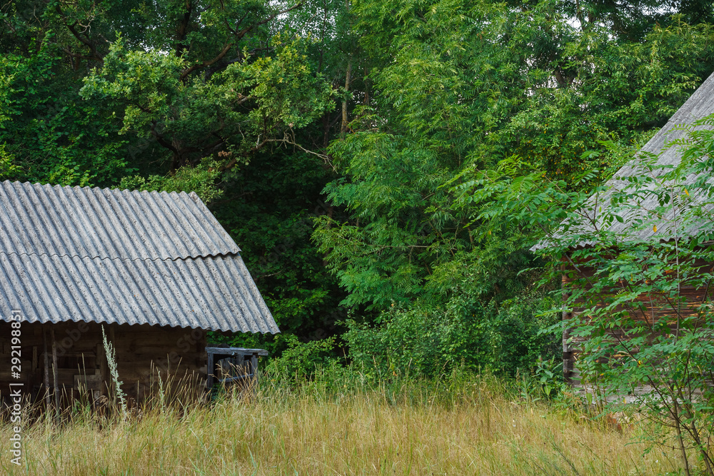 Abandoned old wooden house among the green trees and tall grass. Rural landscape. Abandoned old wooden house among the green trees and tall grass. Rural landscape.