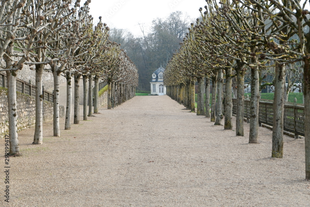 Fototapeta premium alley in the park