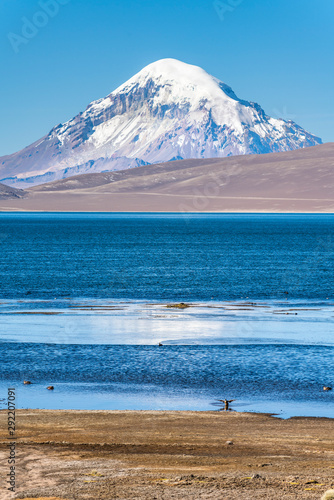 Sajama Volcano above the horizon over Chungara lake waters an awesome wild landscape inside Lauca National Park. A panoramic view of the chilean 