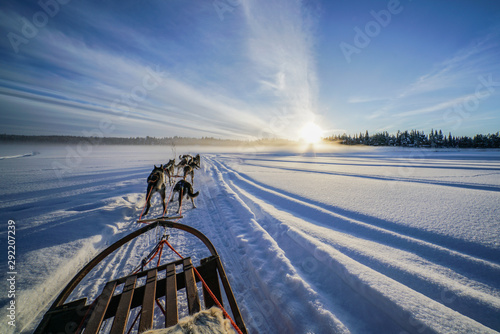 Fantastic view from Alaskan dog sledding Tour in Kiruna, northern Sweden.