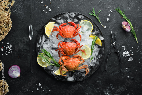 Crabs with lemon on ice. Top view. Free space for your text.