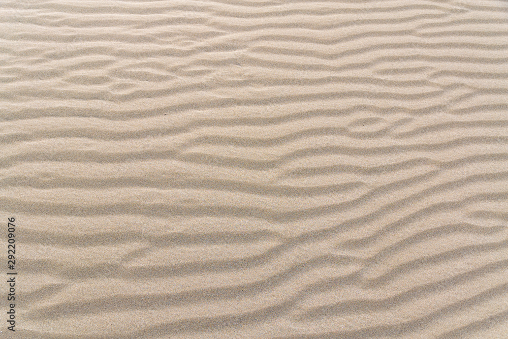 The pattern on the sand. Deltebre, Catalonia, Spain The pattern on the sand. Deltebre, Catalonia, Spain