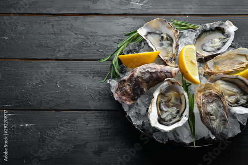 Oyster with lemon on ice. Seafood. Top view. On a black background. Free copy space.