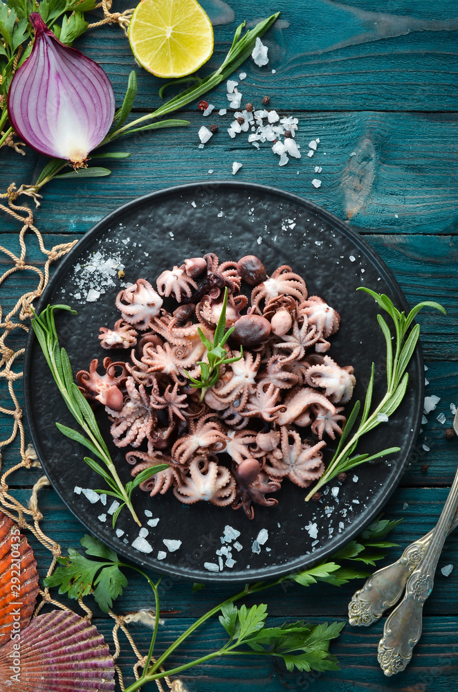 Boiled octopus with spices and rosemary. On the plate. Top view. Free copy space. Boiled octopus with spices and rosemary. On the plate. Top view. Free copy space.