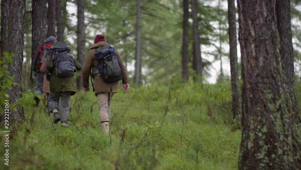 Rear view slow motion shot of group of male and female hikers with backpacks walking through forest on autumn day Rear view slow motion shot of group of male and female hikers with backpacks walking through forest on autumn day