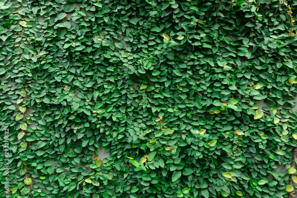 The Velcro on the wall gray background The Velcro on the wall gray background