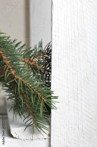 A branch of blue spruce on the background of wooden boards painted white. Winter holidays in green and white.