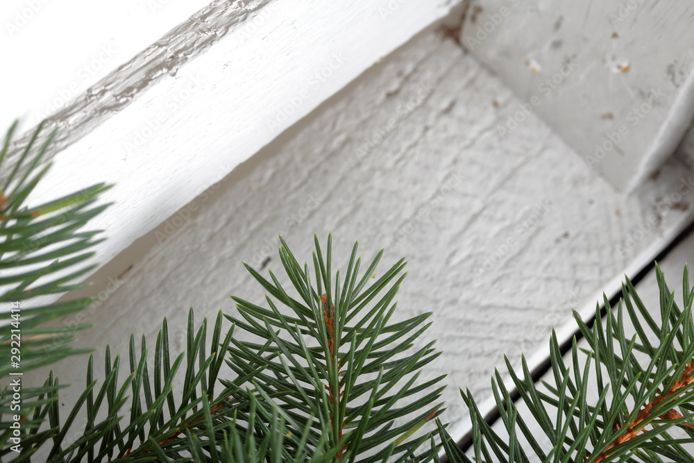 A branch of blue spruce on the background of wooden boards painted white. Winter holidays in green and white. A branch of blue spruce on the background of wooden boards painted white. Winter holidays in green and white.