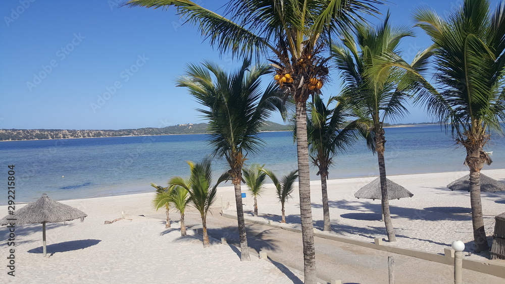 Lagoon with palm trees ~ Bilerne Maputo 