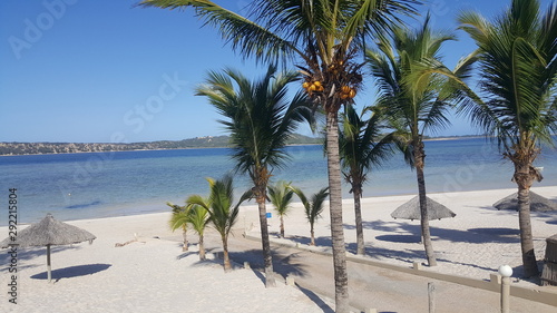 Lagoon with palm trees   Bilerne Maputo 