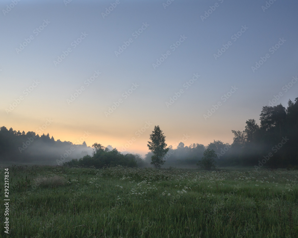 foggy sunrise in the field 